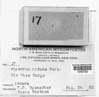 Image Associated With the Occurence